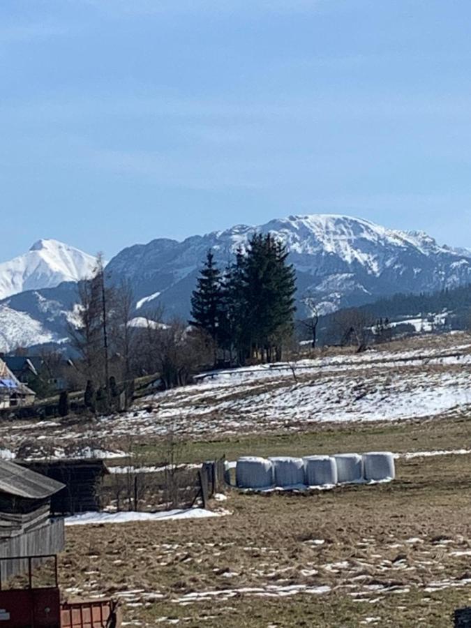 Domki Magdalena Przy Termach Chocholowskich Witów المظهر الخارجي الصورة